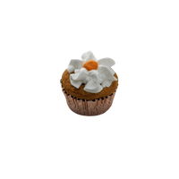 Swell | Pumpkin Pupcake