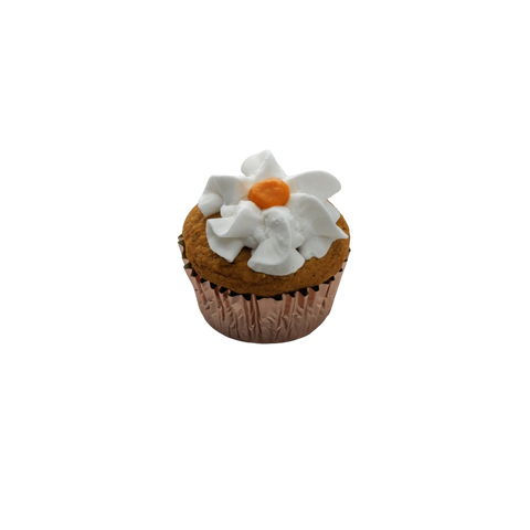 Swell | Pumpkin Pupcake
