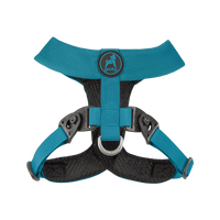 Gooby | Turquoise Comfort-X Dual Snap