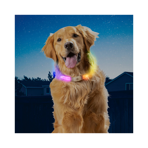 Nite Ize | NiteHowl Max | LED Safety Collar