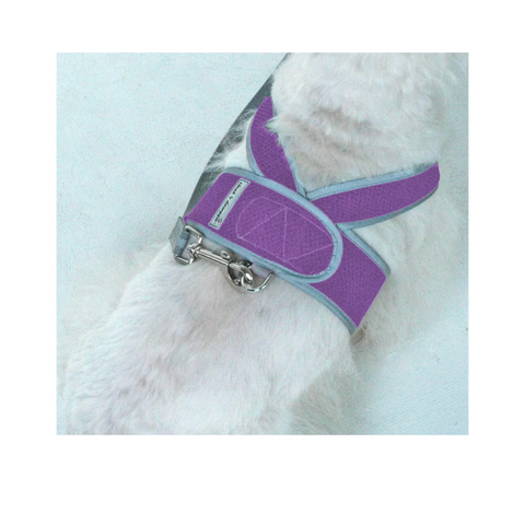 Cloak & Dawggie | Step-N-Go | Purple