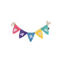 P.L.A.Y. | Party Animal | Party Banner