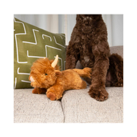 Fluff & Tuff | Shaggy Highland Cow