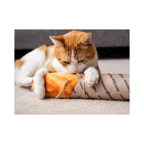 P.L.A.Y. | Feline Frenzy | Baguette Kicker
