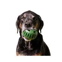 Woof | The Pupsicle