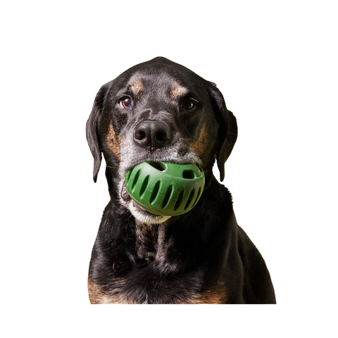 Woof | The Pupsicle