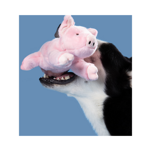 Fluff & Tuff | Petey Pig