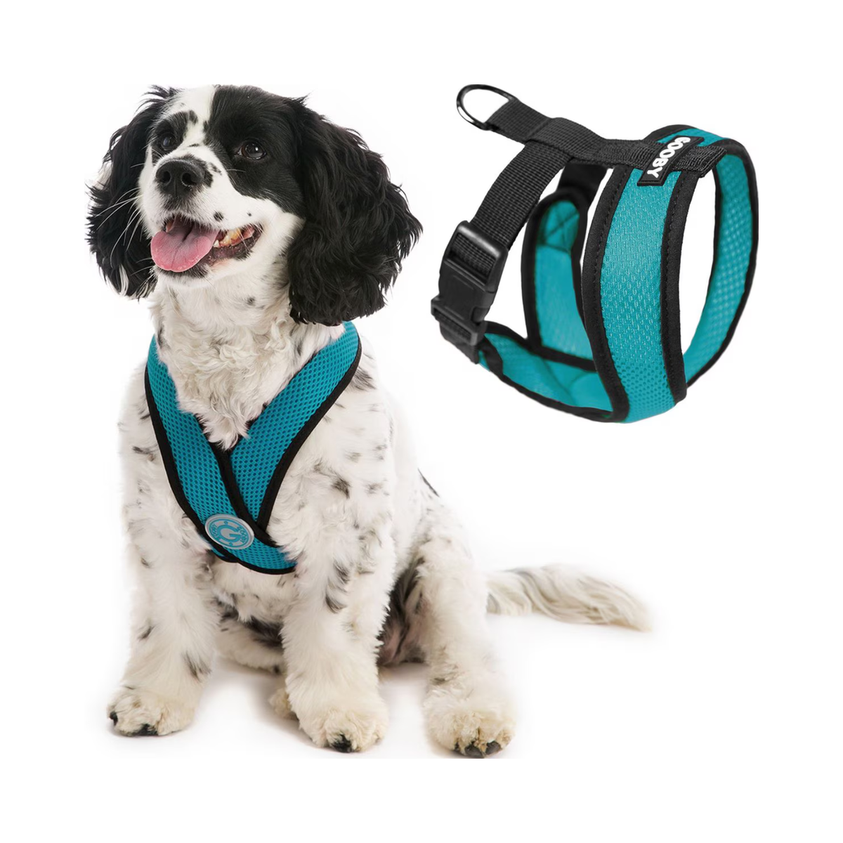 Gooby | Comfort X Head-In Harness | Turquoise