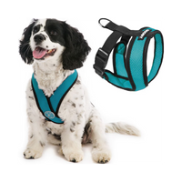 Gooby | Comfort X Head-In Harness | Turquoise