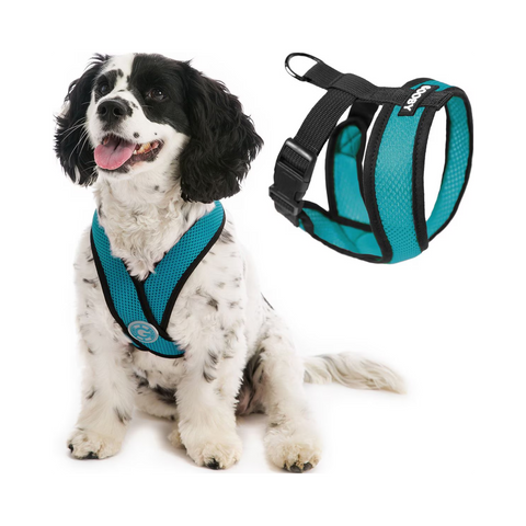 Gooby | Comfort X Head-In Harness | Turquoise