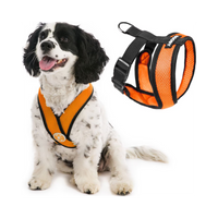 Gooby | Comfort X Head-In Harness | Orange
