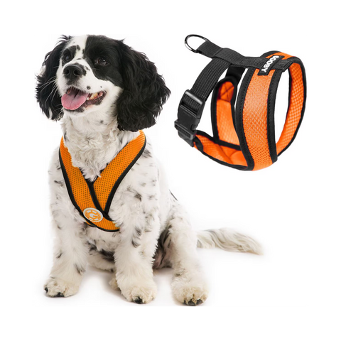 Gooby | Comfort X Head-In Harness | Orange