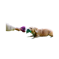 ZippyPaws | Crinkle Crops Radish