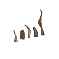 CANOPHERA | Sheep Horn Dog Chew