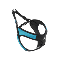 Gooby | Escape Free Harness | Turquoise