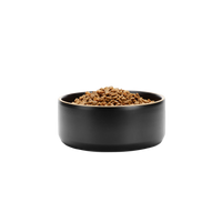 Black Edge Bowl