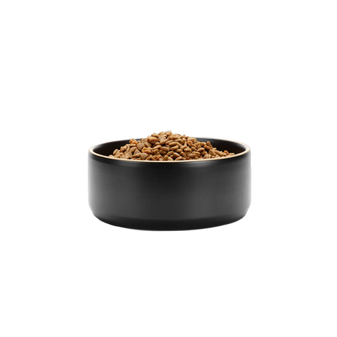 Black Edge Bowl