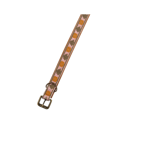 Buddy Embroidered Collar