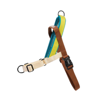 Avocado | SofterWalk Harness