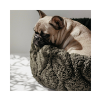 Lambwolf | Taart Pet Bed