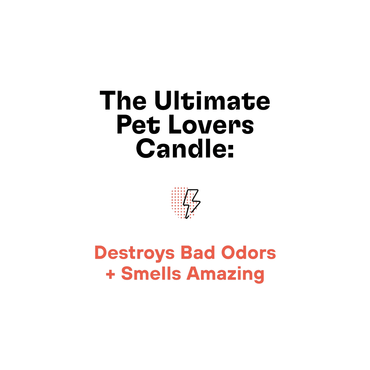 Zoop | Pet Odor Eliminating Candle