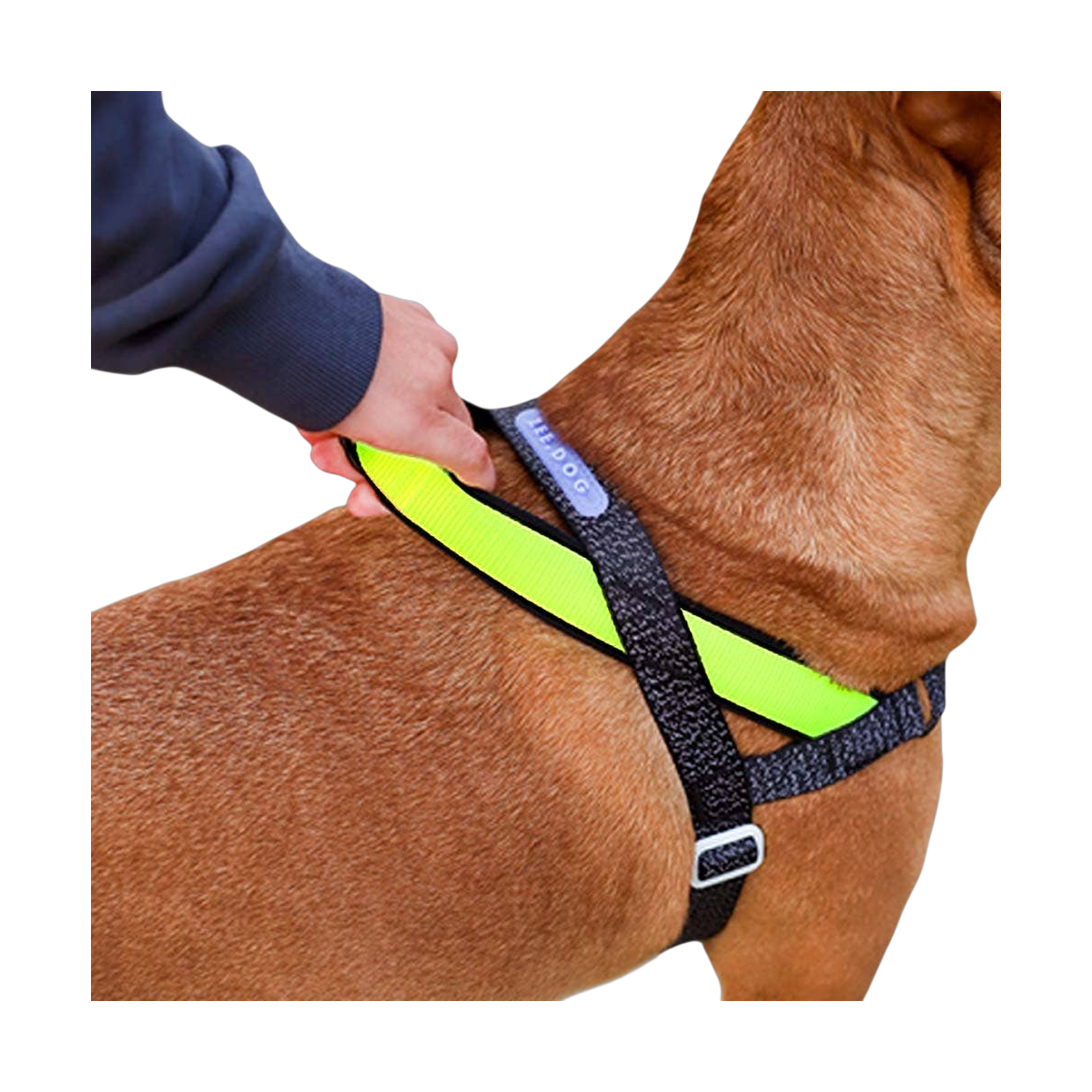 Close-up detail of the Zee.Dog SofterWalk Harness in NOX colorway showing strap texture and hardware.