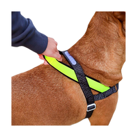Close-up detail of the Zee.Dog SofterWalk Harness in NOX colorway showing strap texture and hardware.