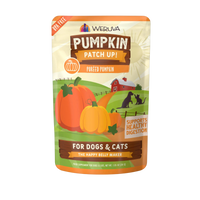 Weruva | Pumpkin Patch Up