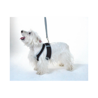 Cloak & Dawggie | Step-N-Go | Black