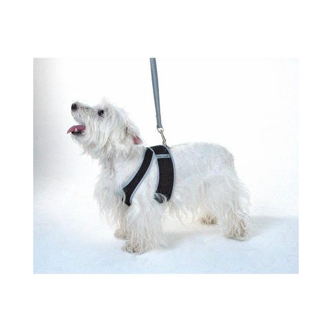 Cloak & Dawggie | Step-N-Go | Black