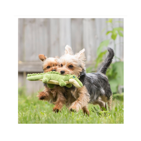 Fluff & Tuff | Savannah Baby Gator