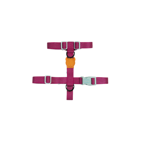 Zee.Dog | H Harness | NOX Sidus