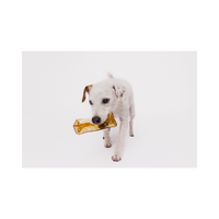 Mighty Marrows Dental Chew | Pork & Parsley