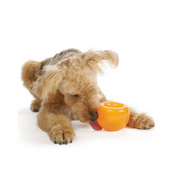 Planet Dog | Interactive Toy | Snoop