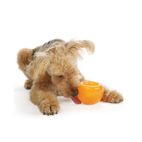 Planet Dog | Interactive Toy | Snoop