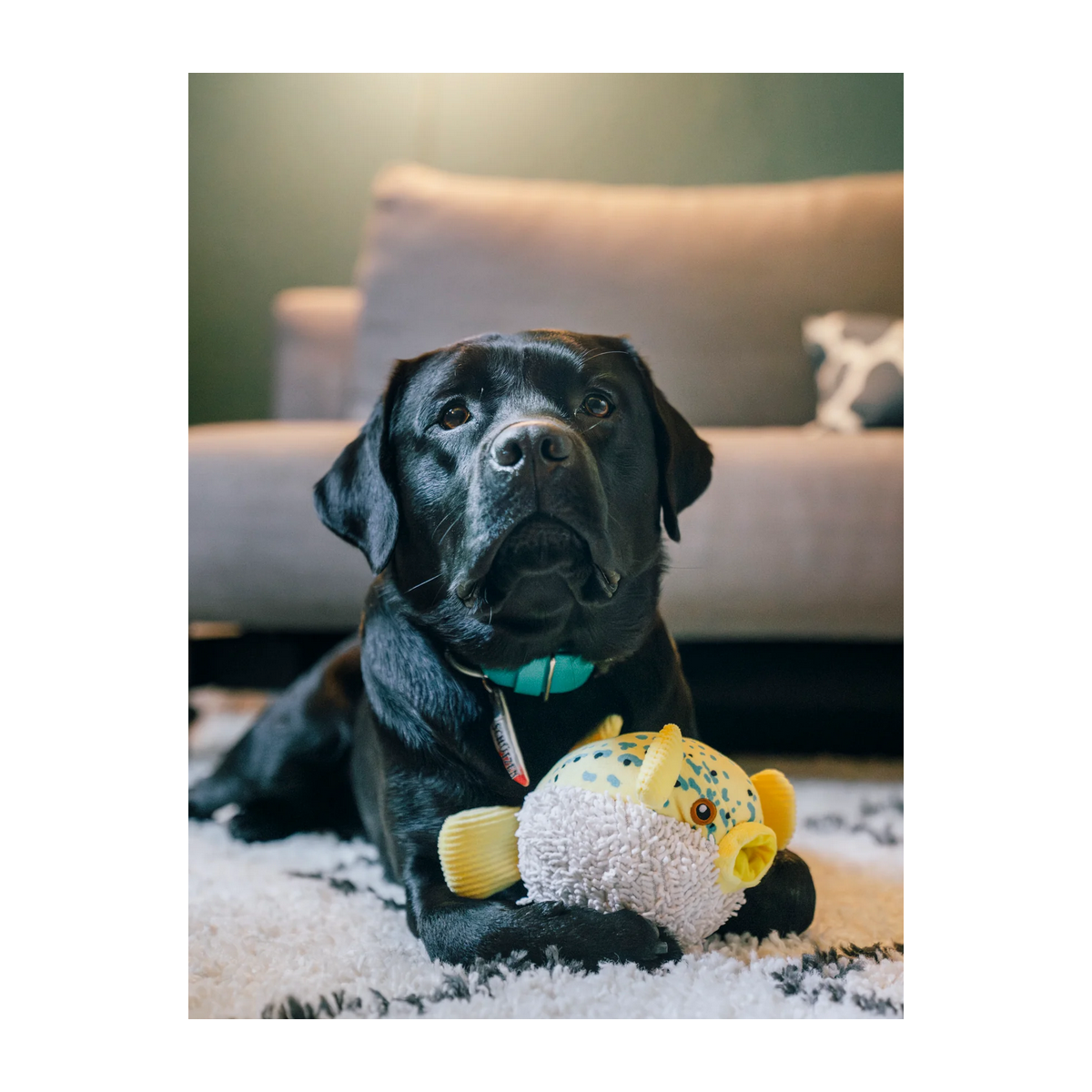 P.L.A.Y. | Ocean Buddies | Puffer Fish