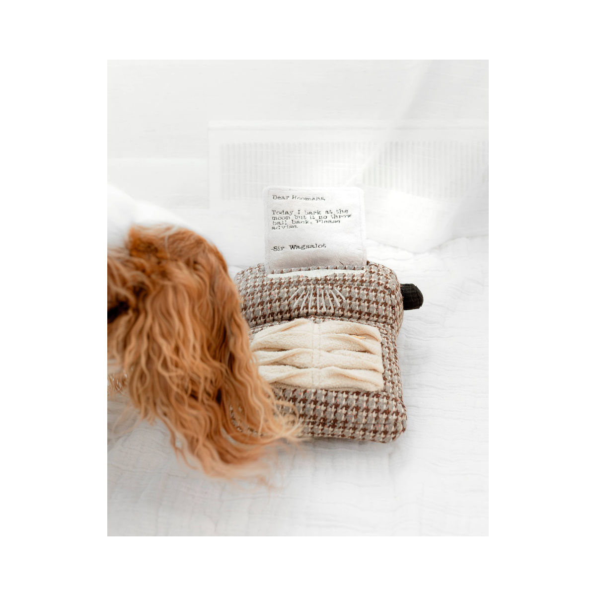 Lambwolf | Typerwriter Enrichment Toy