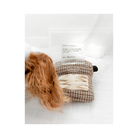 Lambwolf | Typerwriter Enrichment Toy