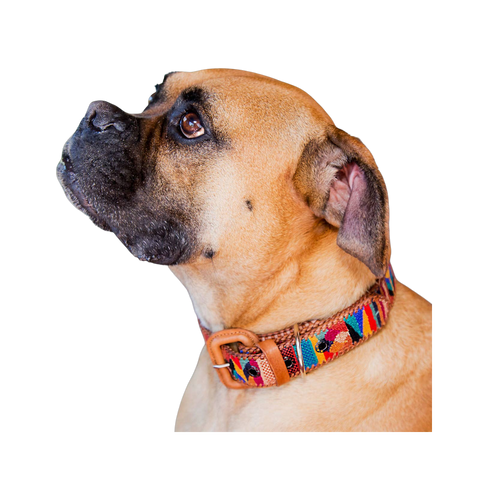 Altiplano | Woven Dog Collar