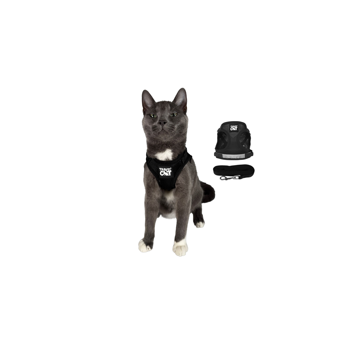 Travel Cat | Harness | True Adventurer Harness & Leash