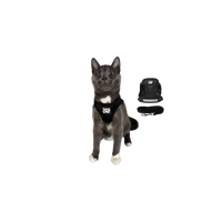 Travel Cat | Harness | True Adventurer Harness & Leash