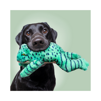 Fluff & Tuff | Oliver Frog
