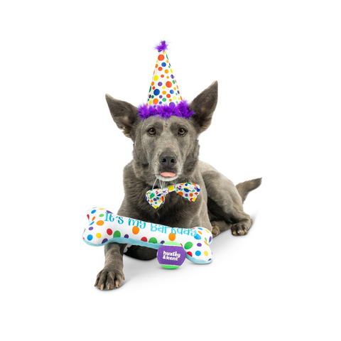 Happy Barkday Celebration Box