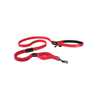 EzyDog | Road Runner Leash