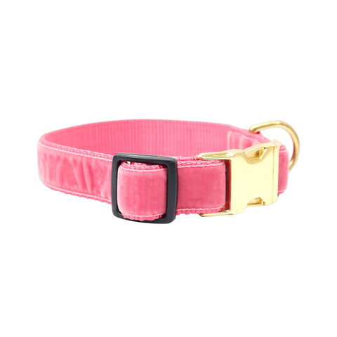 Mimi Green | Primrose Pink Velvet Collar & Leash