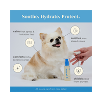 Petora | Nose-to-Tail Soothing Jelly Serum