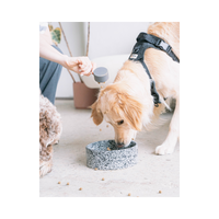 dexypaws | Bowl | Salt & Pepper