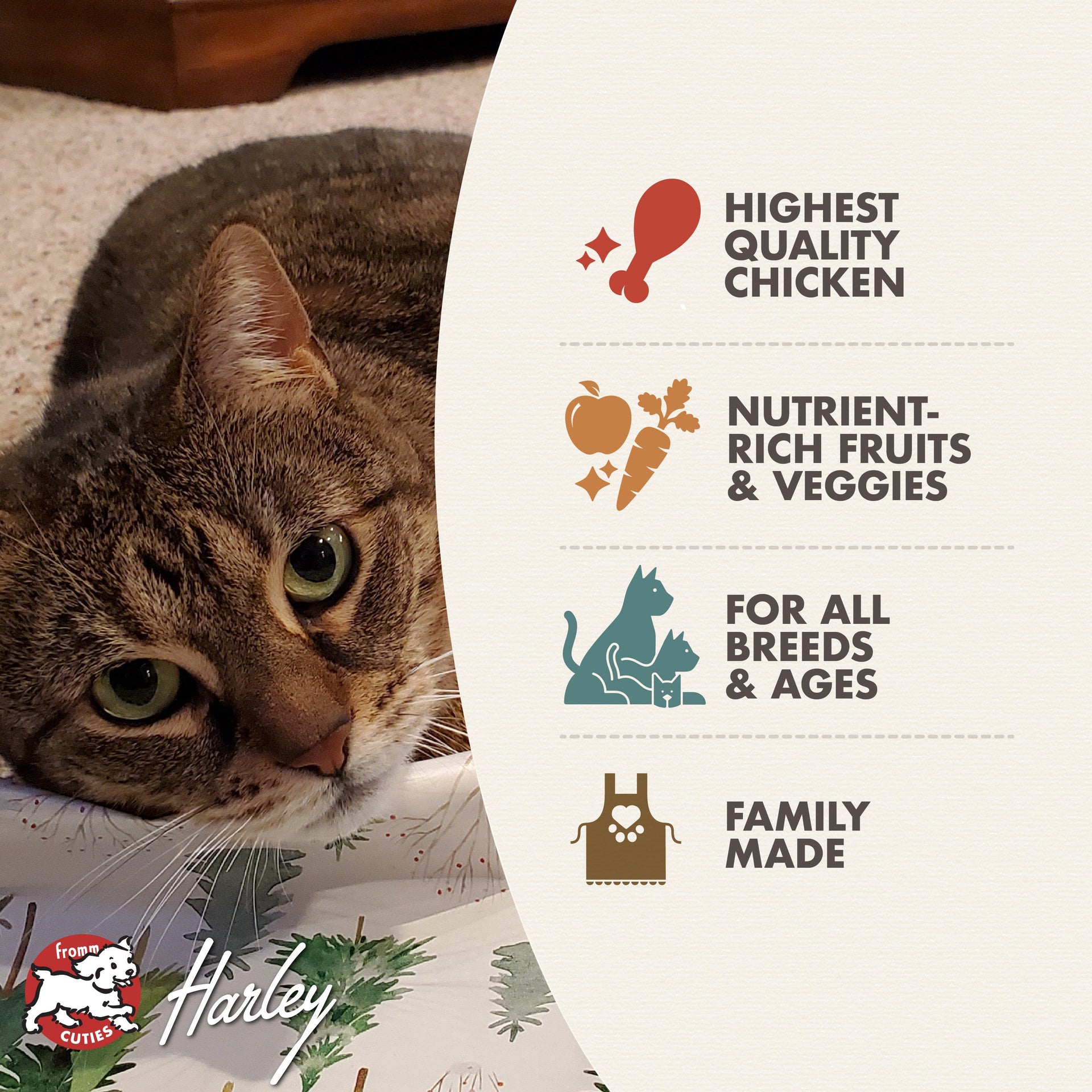 Fromm | Cat | Chicken au Frommage 5lb