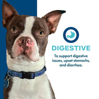 Fromm | Nutritionals | Digestive Support