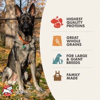 Fromm | Gold | Large Breed Adult